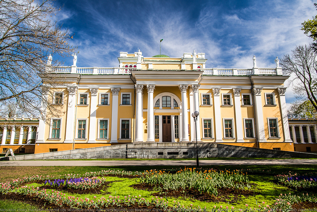 Rumyantsev-Paskevich Palace