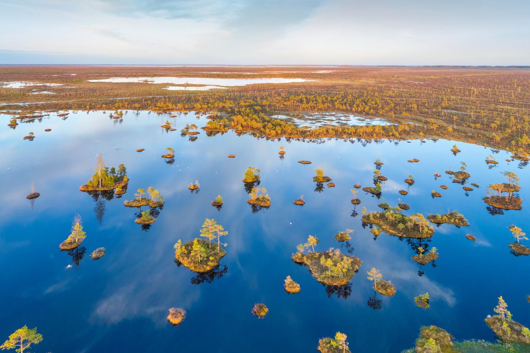 Belarusians Bemused By Birch-Water Ballyhoo